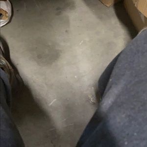 Meet your Posher, Janie